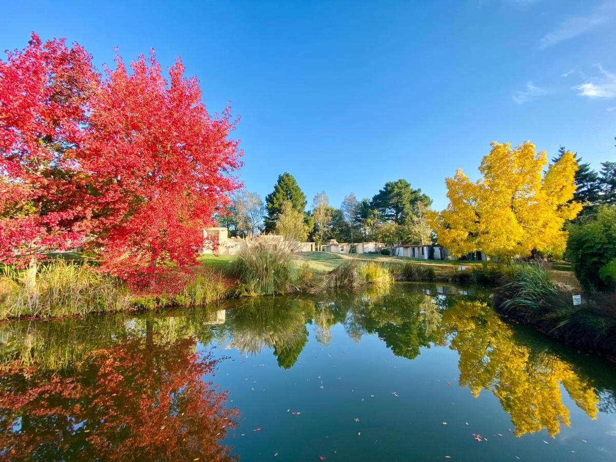 Отель Les Jardins De L'Anjou Montjean-sur-Loire Экстерьер фото